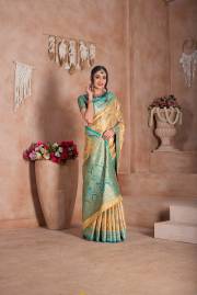 Np Saree  DN 9747A TO 9747D